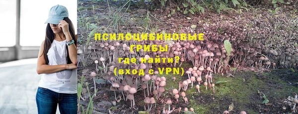 дурь Алексин