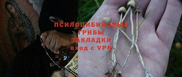 амф Алзамай