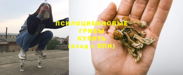 амф Алзамай
