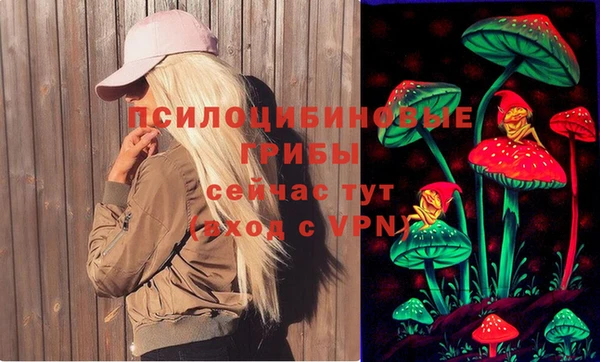 дурь Алексин